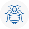 Bed Bug Extermination In Leicester
